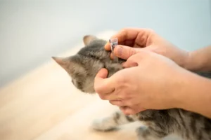 Anti Flea Drops