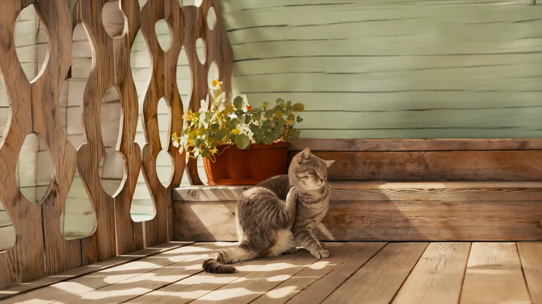 Fleas, Ticks, Mosquitoes, and Heartworms: A Parasite Protection Guide for West Jordan Pet Owners