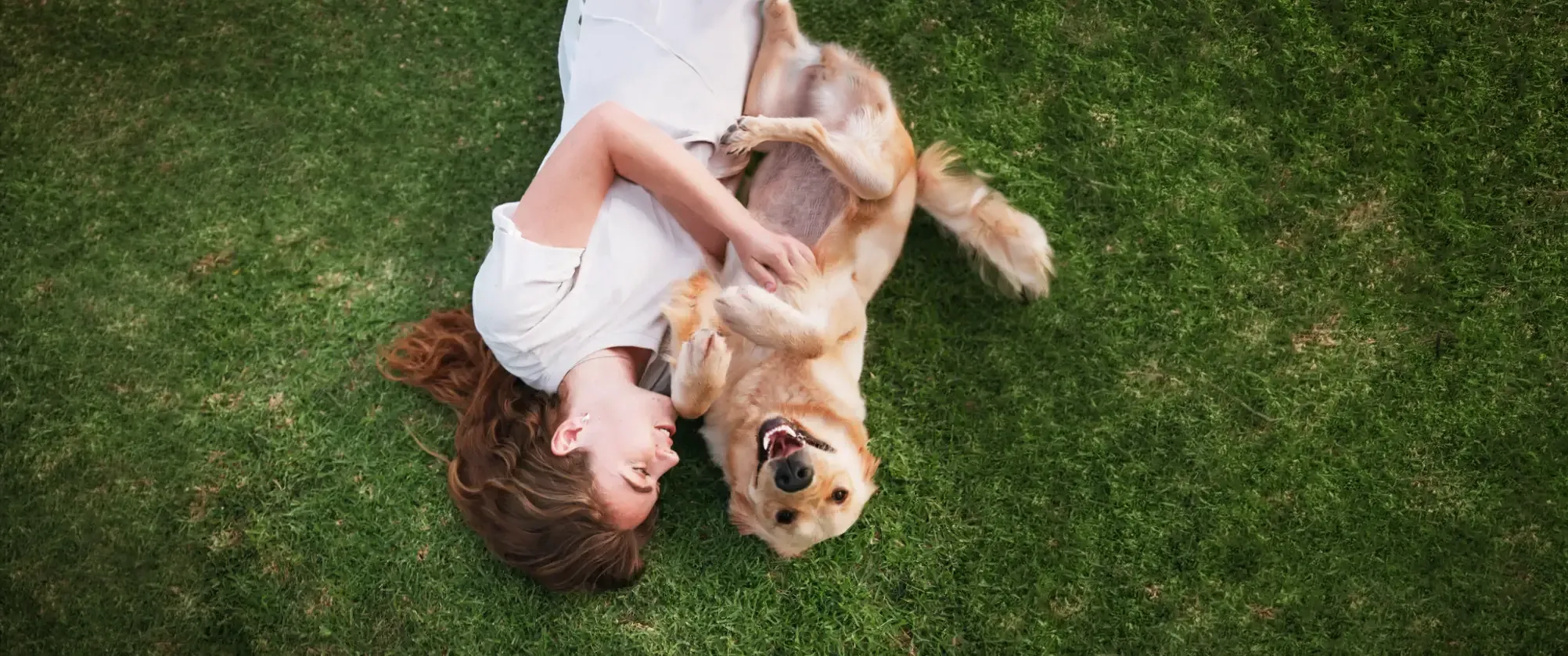Happy Dog In Grass 1