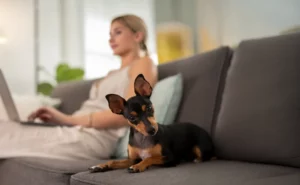 Dog Vaccination in West Jordan, UT