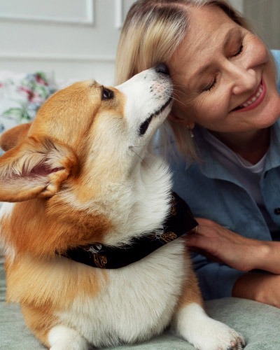 Vet Animal Services Pricing